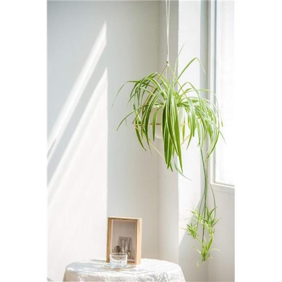 Boho Metal Hanging Planter with Plastic Pots, Set of 2 , Modern Mid Century - Picture 4 of 6